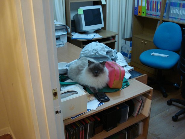 Why does Crosby choose to sit on all of this stuff when there's empty desk behind him?